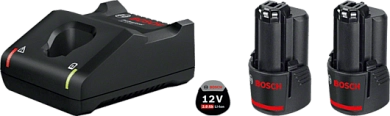 Аккумулятор 12В 2шт 2.0 А/ч Li-ion GBA 12V + ЗУ GAL 12V-40 (1 600 A01 9R8) BOSCH