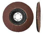 Круг лепестковый 125х22.23 мм для металла, А80, тип КЛТ2 ОАО "ЛАЗ"