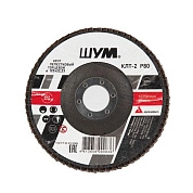 Круг лепестковый 125х22.23 мм для металла, А80, тип КЛТ2 "ШУМ"