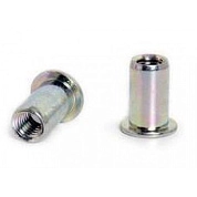 Заклепка с внутренней резьбой  М6х1,0мм L15,5мм (цилиндрический бортик, сталь)(AK LM6) PROWIN