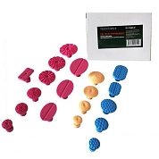 Набор адаптеров пластиковых для беспокрасочного удаления вмятин, 19пр. (RF-915M1-P) RockForce