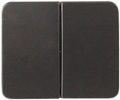 Выключатель СВЕТОЗАР "ГАММА" двухклавишный, без вставки и рамки, цвет темно-серый металлик, 10A/~250