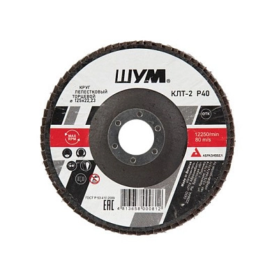 Круг лепестковый 125х22.23 мм для металла, А40, тип КЛТ2 "ШУМ"