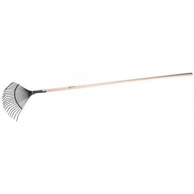 Грабли веерные с черенком, 22 круглых зубца (4-39591) ЗУБР