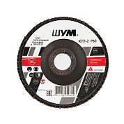 Круг лепестковый 125х22.23 мм для металла, А60, тип КЛТ2 "ШУМ"