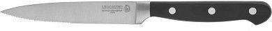Нож "FLAVIA" для стейка, пластиковая рукоятка, лезвие из молибденванадиевой стали, 110мм (47926) LEGIONER