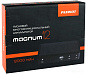 Устройство Power Bank MAGNUM 12 (5В-19В 200-400А 220В) PATRIOT / IMPERIAL фото9