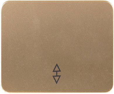 Выключатель СВЕТОЗАР "ГАММА" проходной, одноклавишный, без вставки и рамки, цвет золотой металлик, 1