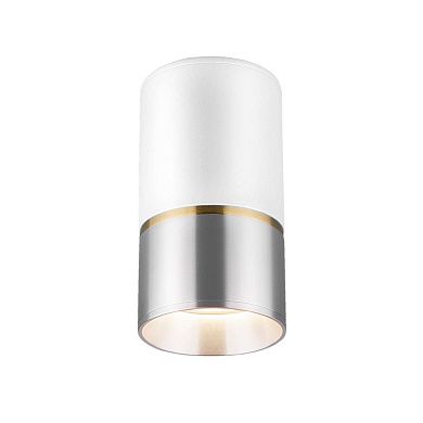 Накладной акцентный светильник DLN106 (230В 40Вт GU10 IP20 белый/серебро) 148606 ELEKTROSTANDARD