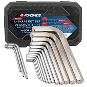 Набор ключей шестигранных, 13+3пр. (2-19мм + T25, T30, T40) (F-5137D+3) Forsage