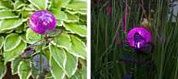 Фонарь садовый ЧУДЕСНЫЙ САД 689-L "Бабочки" сиреневый св/диодный RGB на солнеч.батар, стекло/металл