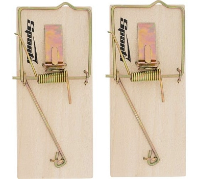 Мышеловка, 2 шт, 100х45 мм (938295) SPARTA